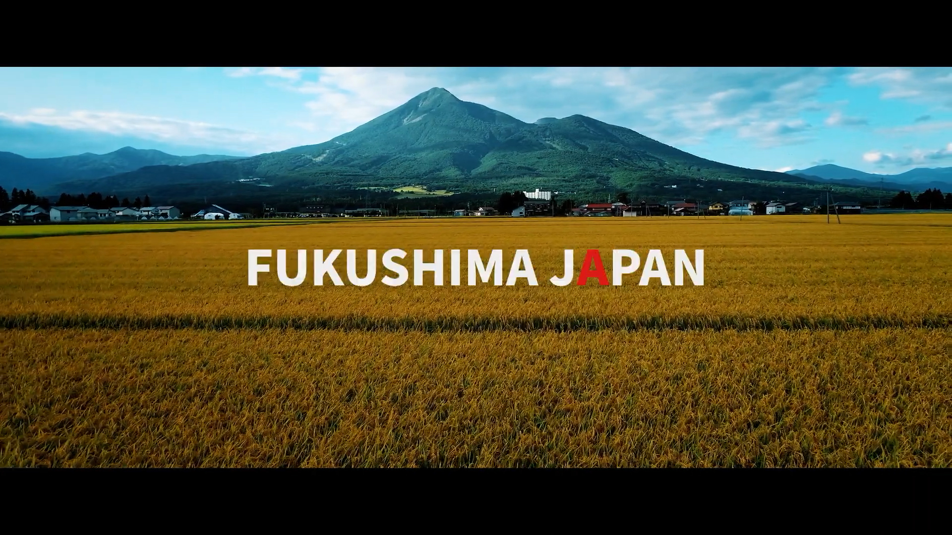 ドキュメンタリー<br>「FUKUSHIMA INDEX」
